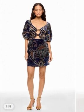 FARM Rio Women's Blue Floral Glam Scarf Velvet Mini Dress